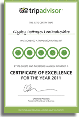 Trip-adviser-certificate-2